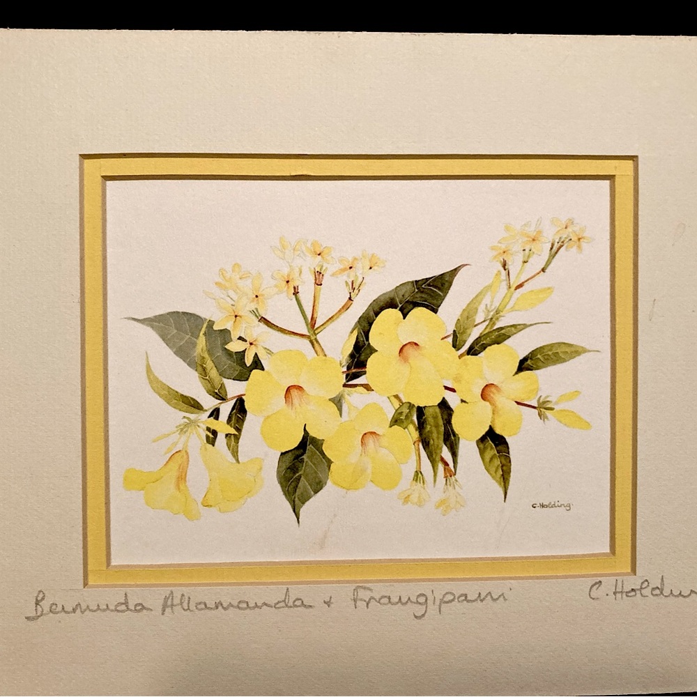 Signed vintage watercolour by Carole Holding